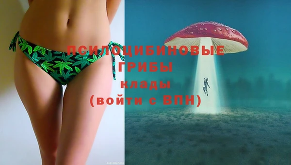 spice Магас