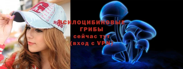 spice Магас