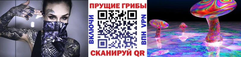 Галлюциногенные грибы Magic Shrooms Сухиничи